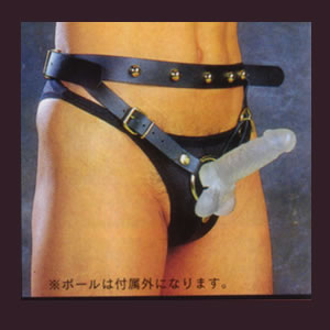 カルナ(ポールは付属外になります)