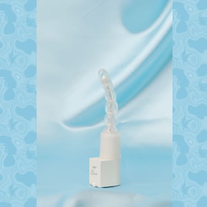 アヌスバージョンNo.1